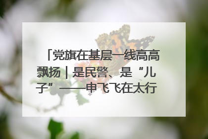 党旗在基层一线高高飘扬｜是民警、是“儿子”——申飞飞在太行山中的一线坚守