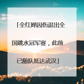 全红婵因伤退出全国跳水冠军赛，此前已随队抵达武汉