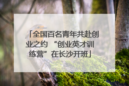 全国百名青年共赴创业之约 “创业英才训练营”在长沙开班