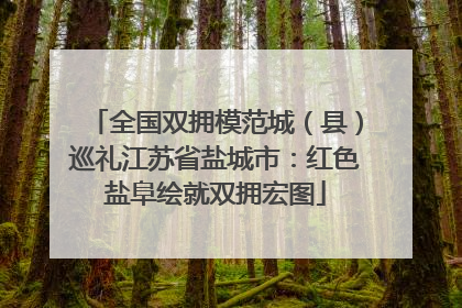 全国双拥模范城（县）巡礼江苏省盐城市：红色盐阜绘就双拥宏图