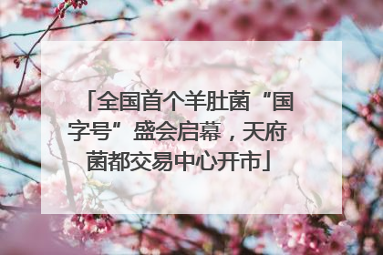 全国首个羊肚菌“国字号”盛会启幕，天府菌都交易中心开市