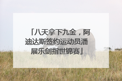 八天拿下九金，阿迪达斯签约运动员潘展乐剑指世锦赛