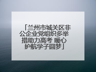 兰州市城关区非公企业党组织多举措助力高考 暖心护航学子圆梦