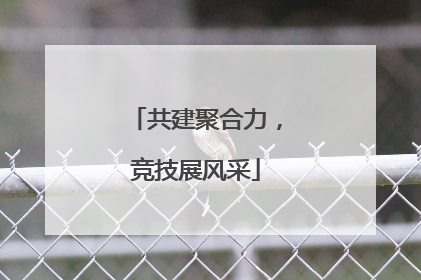 共建聚合力，竞技展风采