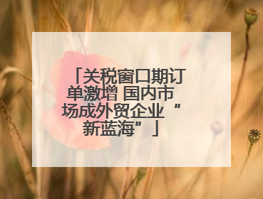 关税窗口期订单激增 国内市场成外贸企业“新蓝海”