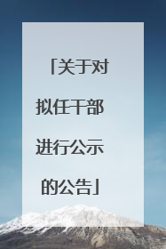 关于对拟任干部进行公示的公告