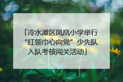 冷水滩区凤凰小学举行“红领巾心向党”少先队入队考核闯关活动
