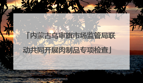 内蒙古乌审旗市场监管局联动共同开展肉制品专项检查