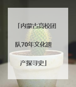 内蒙古高校团队70年文化遗产探寻史