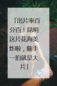 出片率百分百！昆明这片花海美炸啦，随手一拍就是大片