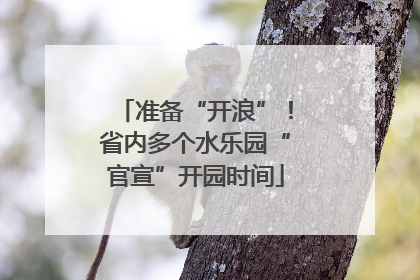 准备“开浪”！省内多个水乐园“官宣”开园时间