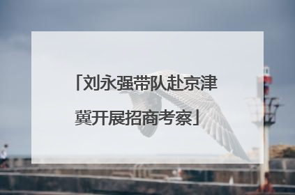 刘永强带队赴京津冀开展招商考察