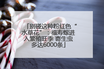 别碰这种粉红色“水草花”：福寿螺进入繁殖旺季 寄生虫多达6000条