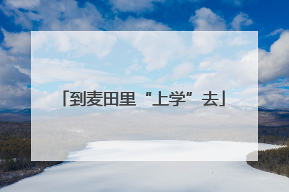 到麦田里“上学”去