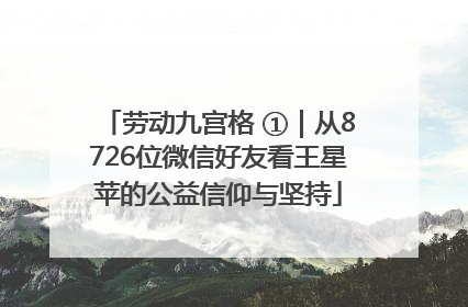 劳动九宫格 ①｜从8726位微信好友看王星苹的公益信仰与坚持
