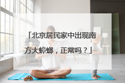 北京居民家中出现南方大蟑螂，正常吗？