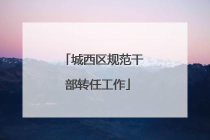 城西区规范干部转任工作