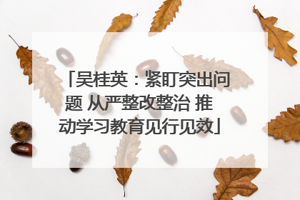 吴桂英：紧盯突出问题 从严整改整治 推动学习教育见行见效
