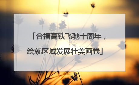 合福高铁飞驰十周年，绘就区域发展壮美画卷