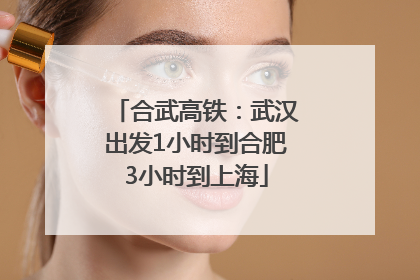 合武高铁：武汉出发1小时到合肥3小时到上海