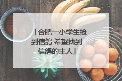 合肥一小学生捡到信鸽 希望找到信鸽的主人