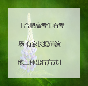 合肥高考生看考场 有家长提前演练三种出行方式