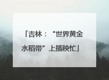 吉林：“世界黄金水稻带”上插秧忙