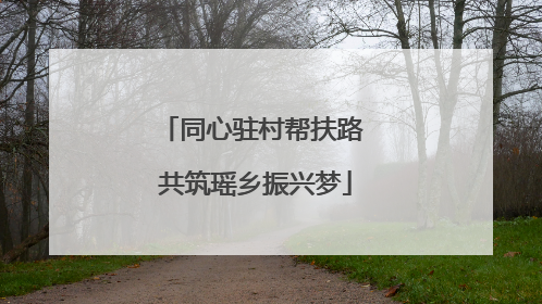 同心驻村帮扶路 共筑瑶乡振兴梦