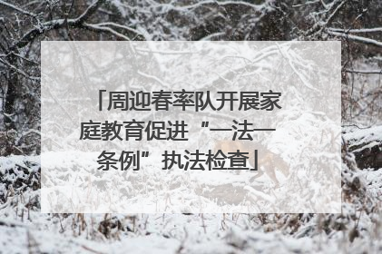 周迎春率队开展家庭教育促进“一法一条例”执法检查