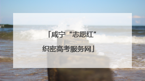咸宁“志愿红”织密高考服务网
