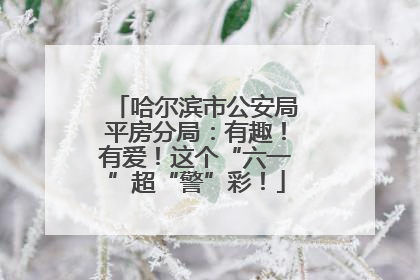 哈尔滨市公安局平房分局：有趣！有爱！这个“六一”超“警”彩！