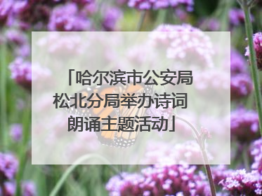 哈尔滨市公安局松北分局举办诗词朗诵主题活动