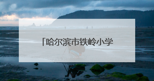 哈尔滨市铁岭小学校第二十七届春季田径运动会圆满举行
