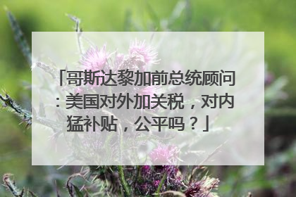 哥斯达黎加前总统顾问：美国对外加关税，对内猛补贴，公平吗？