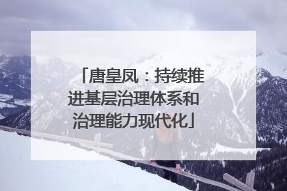 唐皇凤：持续推进基层治理体系和治理能力现代化