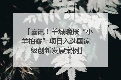 喜讯！羊城晚报“小羊拍客”项目入选国家级创新发展案例