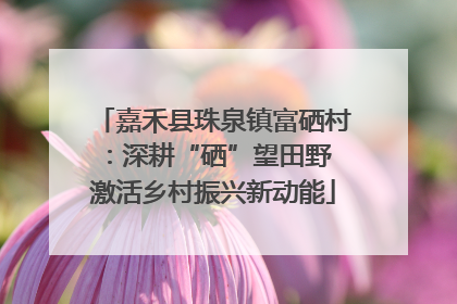 嘉禾县珠泉镇富硒村：深耕“硒”望田野 激活乡村振兴新动能