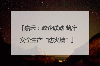 嘉禾：政企联动 筑牢安全生产“防火墙”