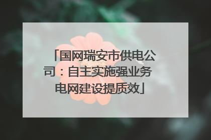 国网瑞安市供电公司：自主实施强业务 电网建设提质效