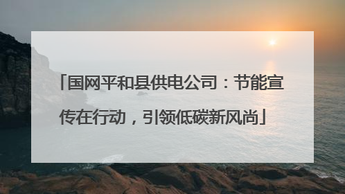 国网平和县供电公司：节能宣传在行动，引领低碳新风尚