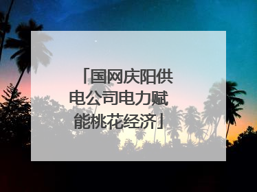 国网庆阳供电公司电力赋能桃花经济