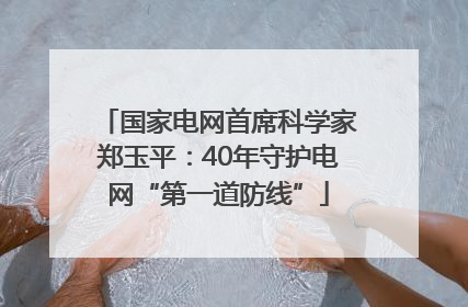 国家电网首席科学家郑玉平：40年守护电网“第一道防线”