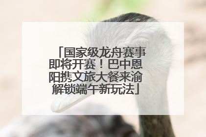 国家级龙舟赛事即将开赛！巴中恩阳携文旅大餐来渝解锁端午新玩法