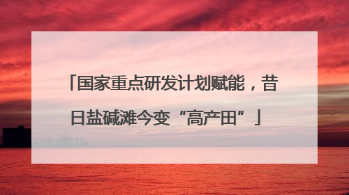 国家重点研发计划赋能，昔日盐碱滩今变“高产田”