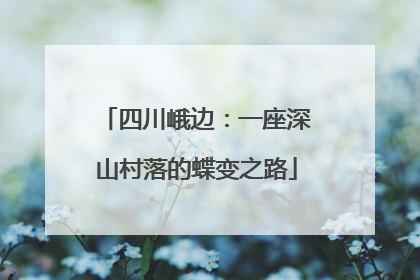 四川峨边：一座深山村落的蝶变之路