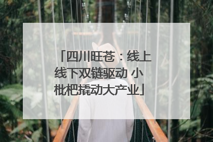 四川旺苍：线上线下双链驱动 小枇杷撬动大产业