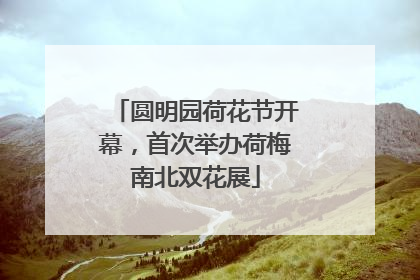 圆明园荷花节开幕，首次举办荷梅南北双花展