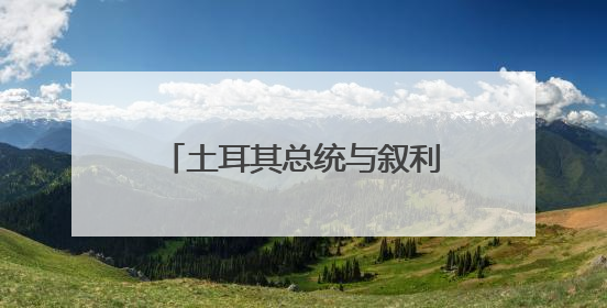 土耳其总统与叙利亚政权领导人就双边关系等举行会谈