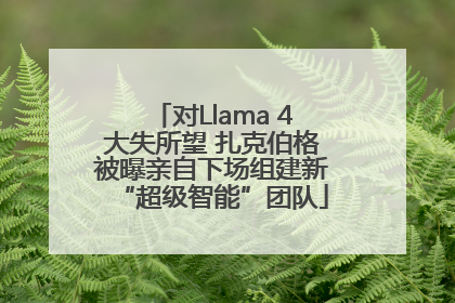 对Llama 4大失所望 扎克伯格被曝亲自下场组建新“超级智能”团队