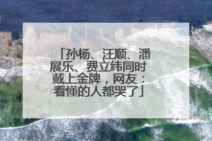 孙杨、汪顺、潘展乐、费立纬同时戴上金牌，网友：看懂的人都哭了